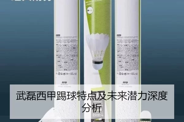 武磊西甲踢球特点及未来潜力深度分析