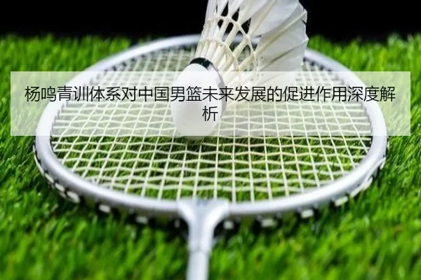 杨鸣青训体系对中国男篮未来发展的促进作用深度解析