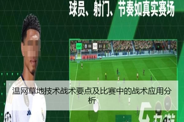 温网草地技术战术要点及比赛中的战术应用分析
