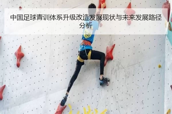 中国足球青训体系升级改造发展现状与未来发展路径分析